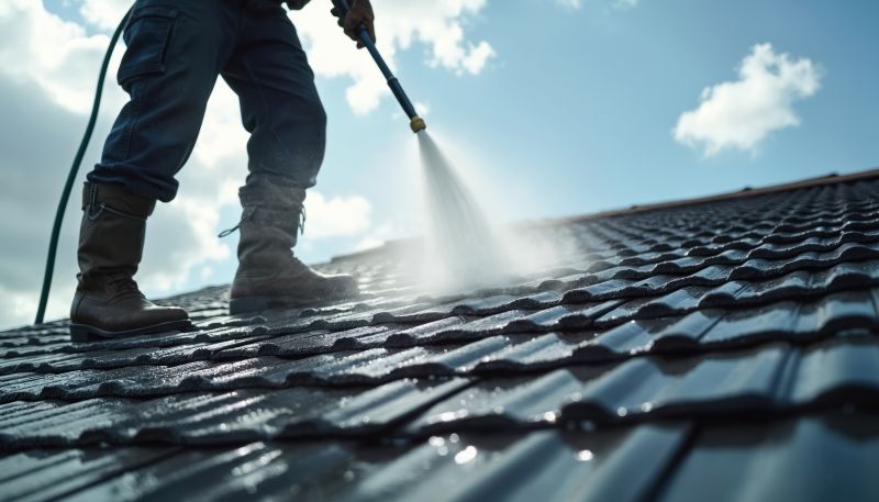 Roof Cleaning